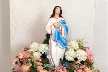 Festa da Conceição: missa de apresentação do cartaz e bênção das imagens peregrinas