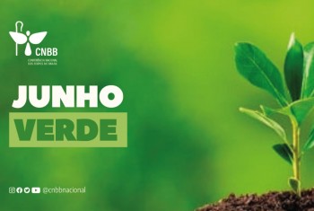 Organizadores da campanha Junho Verde divulgam formulário de registro das ações realizadas em todo o Brasil